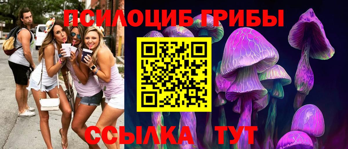 Славгород  Галлюциногенные грибы Psilocybe  Галлюциногенные грибы мицелий  Вход с VPN 