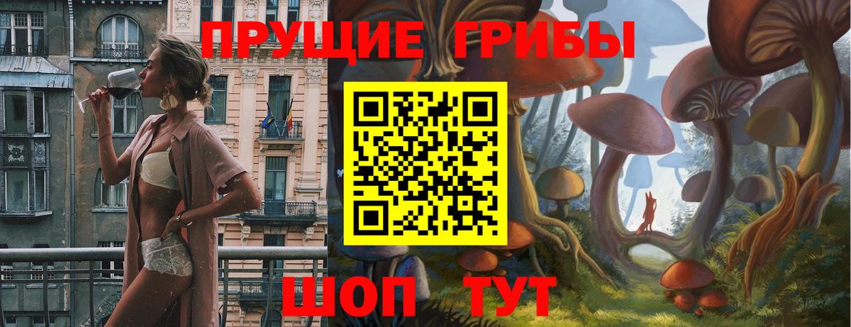 Псилоцибиновые грибы мицелий Славгород